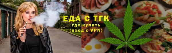 шишки Ельня